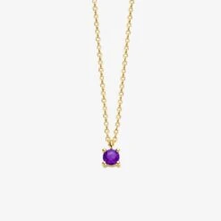 February Birthstone Necklace 14K Yellow Gold